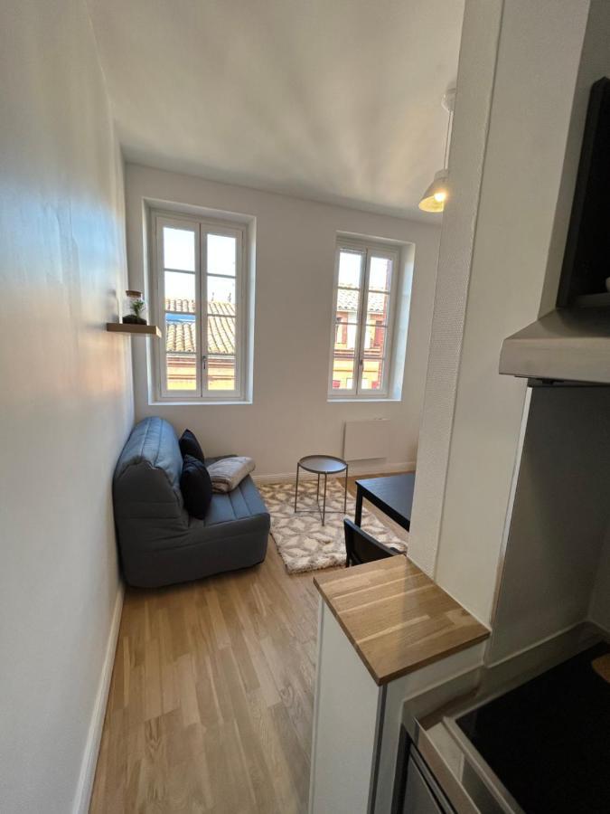 Le Cygne Blanc Apartment Toulouse Exterior photo