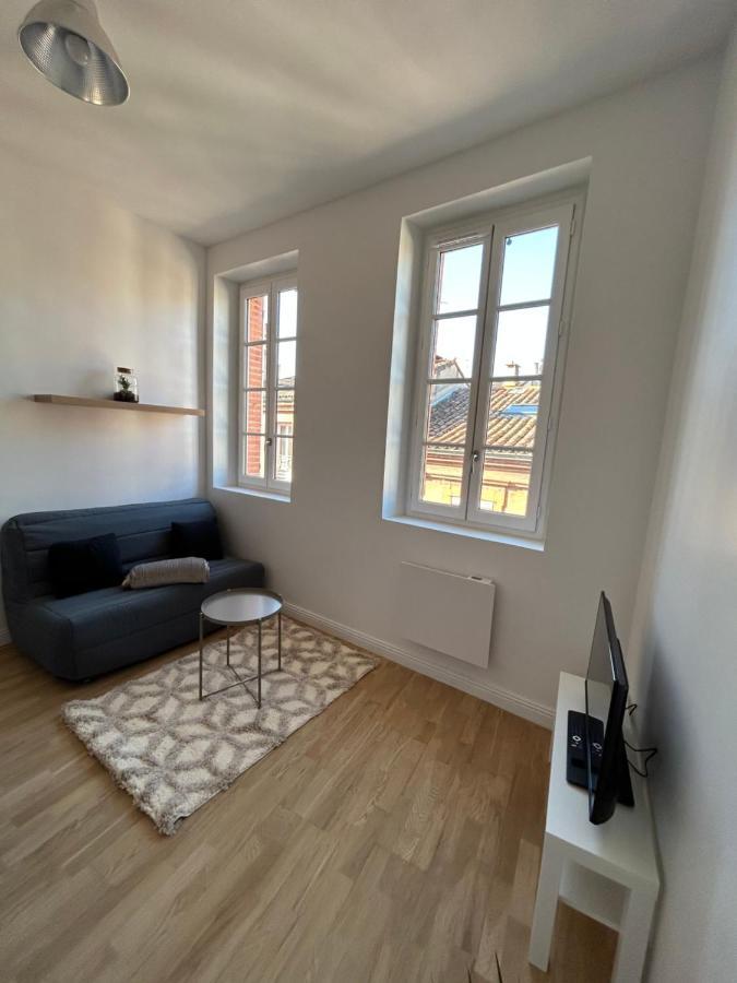 Le Cygne Blanc Apartment Toulouse Exterior photo