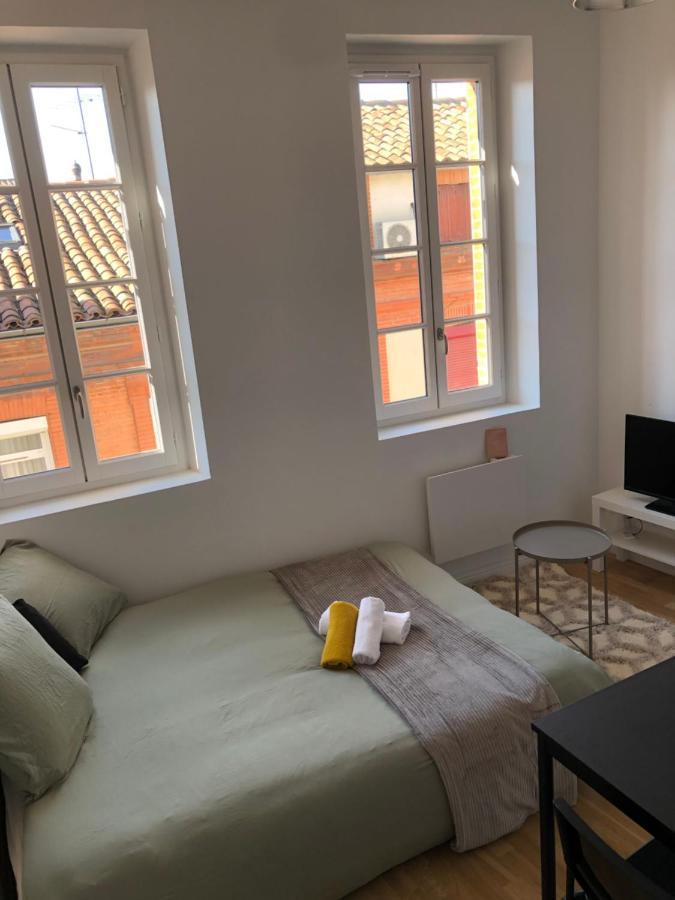 Le Cygne Blanc Apartment Toulouse Exterior photo